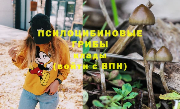 соль ск Осташков