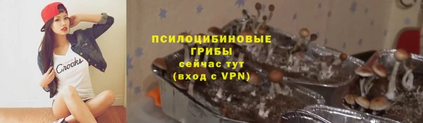 круглые Козельск