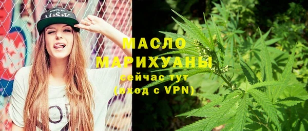 гидра Осинники