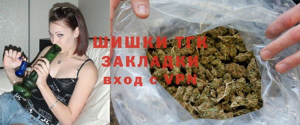 прущие грибы Покачи