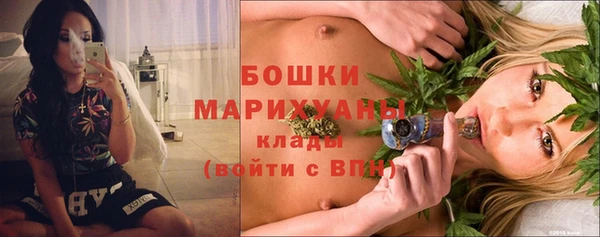 гидра Осинники