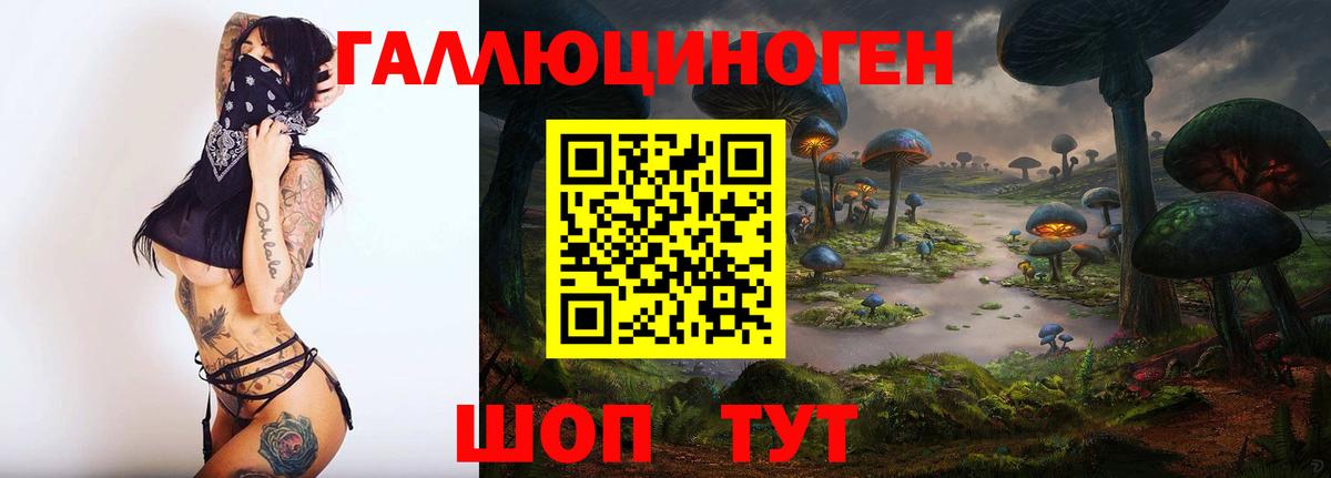 Псилоцибиновые грибы прущие грибы  Вход с VPN  Тавда 